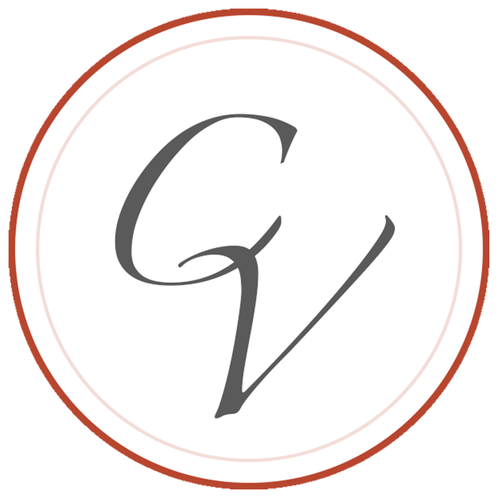 Capture the Vision logo
